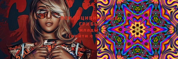 гашик Алзамай