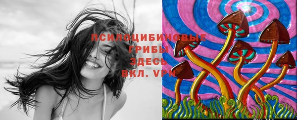 спиды Алексин
