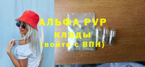 спиды Абаза