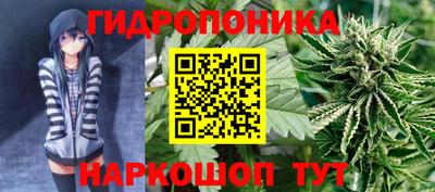 гашик Канаш