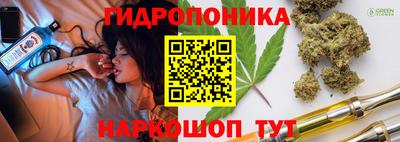 mdma Камышлов