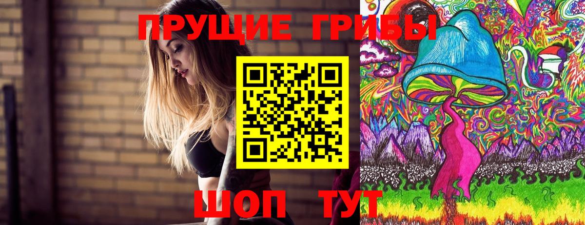 закладка  Псилоцибиновые грибы GOLDEN TEACHER  Вход с VPN  Псилоцибиновые грибы GOLDEN TEACHER  Красноармейск 